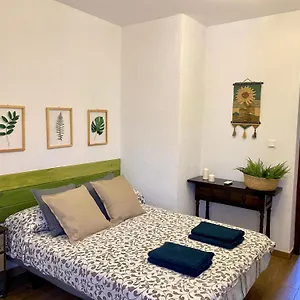 Palmeras Сasa de vacaciones Pizarra